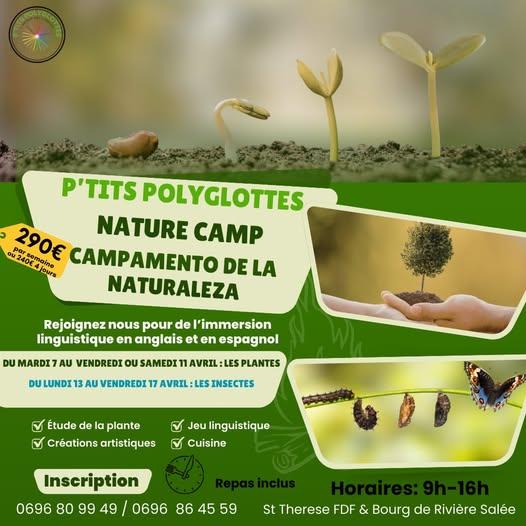 Nature Camp : Immersion Linguistique (Les Insectes)